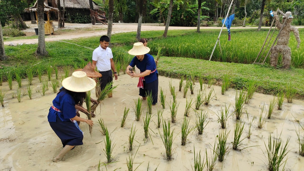 Phuket Farm experience5